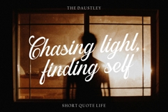 Daustley Product Image 2