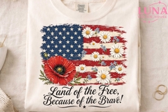 Patriotic American Flag Floral PNG, Land of the Free PNG Product Image 1