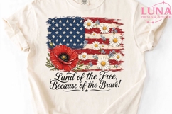 Patriotic American Flag Floral PNG, Land of the Free PNG Product Image 4