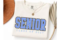 Senior Class of 2027 Polka Dot PNG Tee Product Image 3