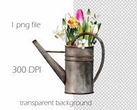 Watercolor spring flowers clipart in watering can.Floral PNG Product Image 6