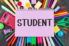 Teacher Academic Product Image 7