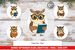 Wind Spinner Teacher Owl Product Image 1