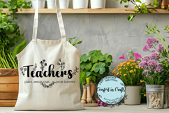 Teachers Plant Seeds SVG and Sublimation design Product Image 1