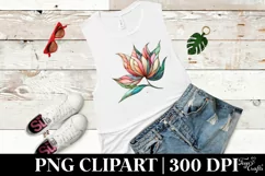 Wooden Tulip, PNG Product Image 5