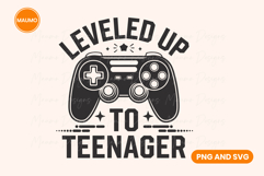 Teenager Birthday Gaming Quote Product Image 1