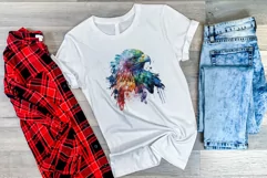 Sublimation Design, Rainbow Eagle Watercolor PNG Product Image 3