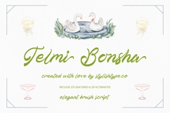 Telmi Bonsha - Elegant Brush Script Product Image 1