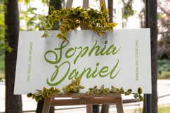 Telmi Bonsha - Elegant Brush Script Product Image 10