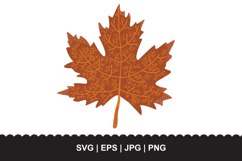 Maple Leaf SVG - Detailed Autumn Foliage Botanical Vector Product Image 1