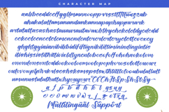 Temple Ritual - Modern Handbrush Font Product Image 18