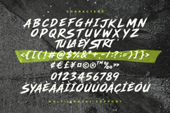 Temur Amorak Urban Bold Brush Font Product Image 7
