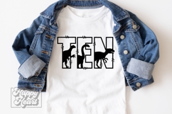 10th Birthday Boy Dinosaur SVG - Ten Dinosaur Shirt PNG Product Image 2