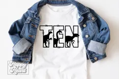 10th Birthday Boy Dinosaur SVG - Ten Dinosaur Shirt PNG Product Image 2