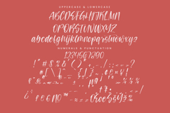 Teracota Strokes Product Image 4