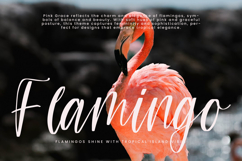 Teracota Strokes Product Image 6