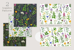 Apothecary Herbs Illustration Set Product Image 7