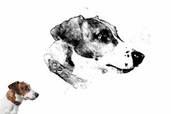 Texture Portrait Tracing Plugin Product Image 2