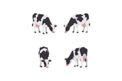 Cow Vector Illustrations for T-shirt Printing and Projec Product Image 1