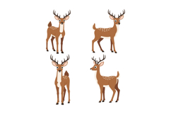 Deer vector illustration set with detailed antlers and natur Product Image 1
