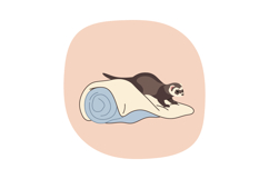 Ferret lying on rolled blanket vector illustration ideal for Product Image 1