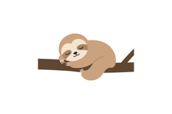 Sleeping sloth on tree branch vector illustration for t-shir Product Image 1
