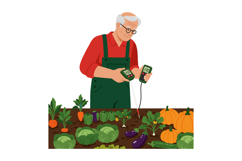 Elderly man testing soil moisture in vegetable garden with p Product Image 1