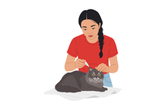 Young woman grooming gray cat with comb and brush indoors ve Product Image 1