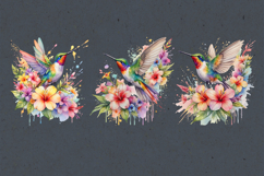 Rainbow Hummingbird sublimation print design PNG Product Image 2