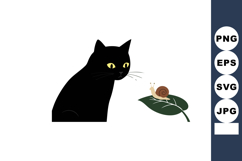 Black cat watching a small brown snail on green leaf minimal Product Image 1