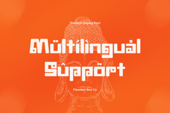 Ravhani Product Image 10