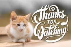 Thanks for Watching Lettering Product Image 2