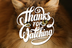 Thanks for Watching Lettering Product Image 1