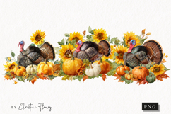 Watercolor Thanksgiving Turkey | Thanksgiving Png Product Image 1