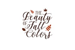 The Beauty Of Fall Colors Product Image 1