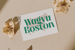 The Bencoy - Modern Serif Font Product Image 6