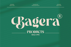 The Bencoy - Modern Serif Font Product Image 11