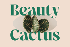 The Bencoy - Modern Serif Font Product Image 12