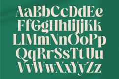 The Bencoy - Modern Serif Font Product Image 15