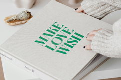 The Bencoy - Modern Serif Font Product Image 16