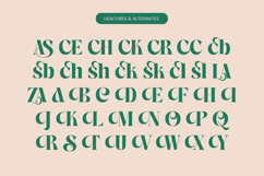 The Bencoy - Modern Serif Font Product Image 18