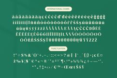 The Bencoy - Modern Serif Font Product Image 19