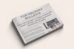 The Bulletin Typewriter Font Product Image 4