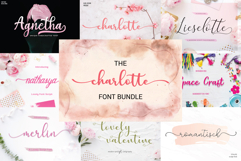 The Charlotte Font Bundle Product Image 1