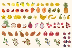 Modern Tropical Fruits Collection Product Image 2