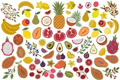 Modern Tropical Fruits Collection Product Image 3