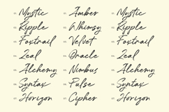 The Hantwels - Signature Handwritten Brush Script Product Image 6