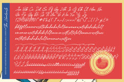 The Hantwels - Signature Handwritten Brush Script Product Image 10