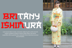 The Japan Product Image 4