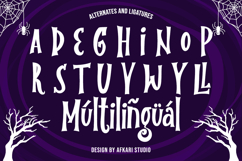 The Last Visitor Special Display Serif Font Product Image 10